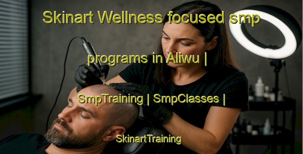 Skinart Wellness-focused smp programs in Aliwu | SmpTraining | SmpClasses | SkinartTraining-China